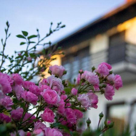 A House, Free Parking, Sauna Koprivnica Exterior photo